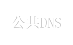 公共DNS