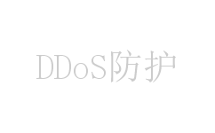 DDoS防护